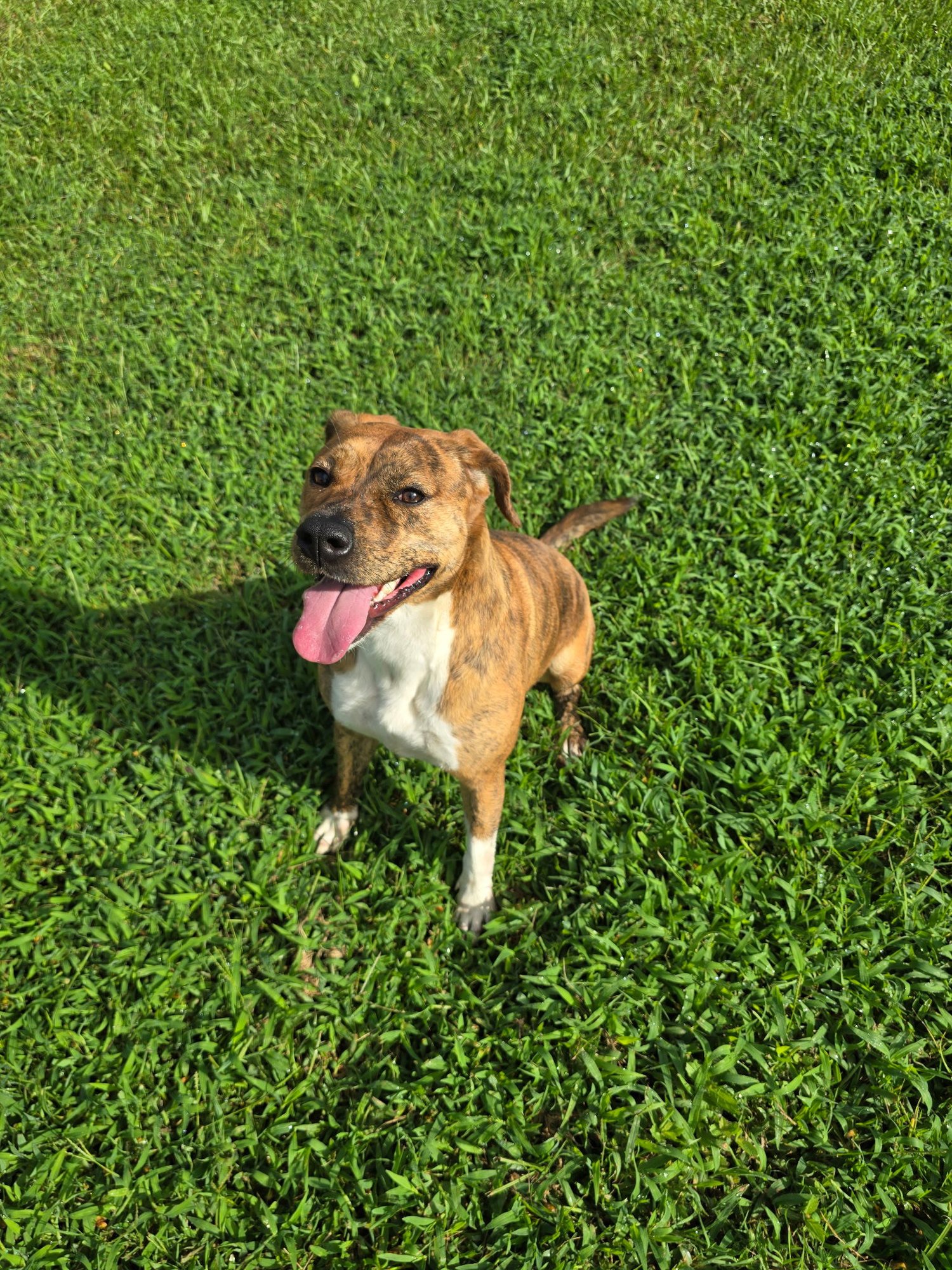 Maisey Dixon - Photo 3