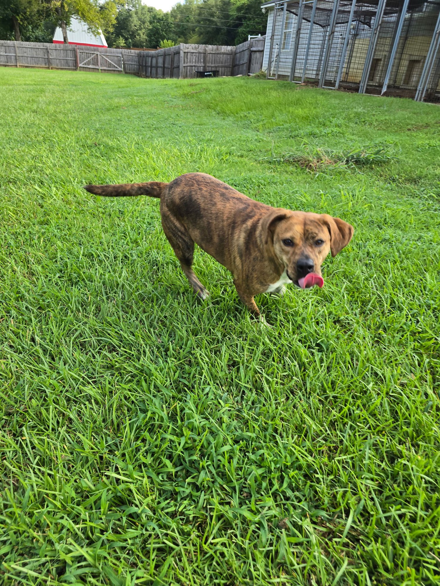 Maisey Dixon - Photo 4