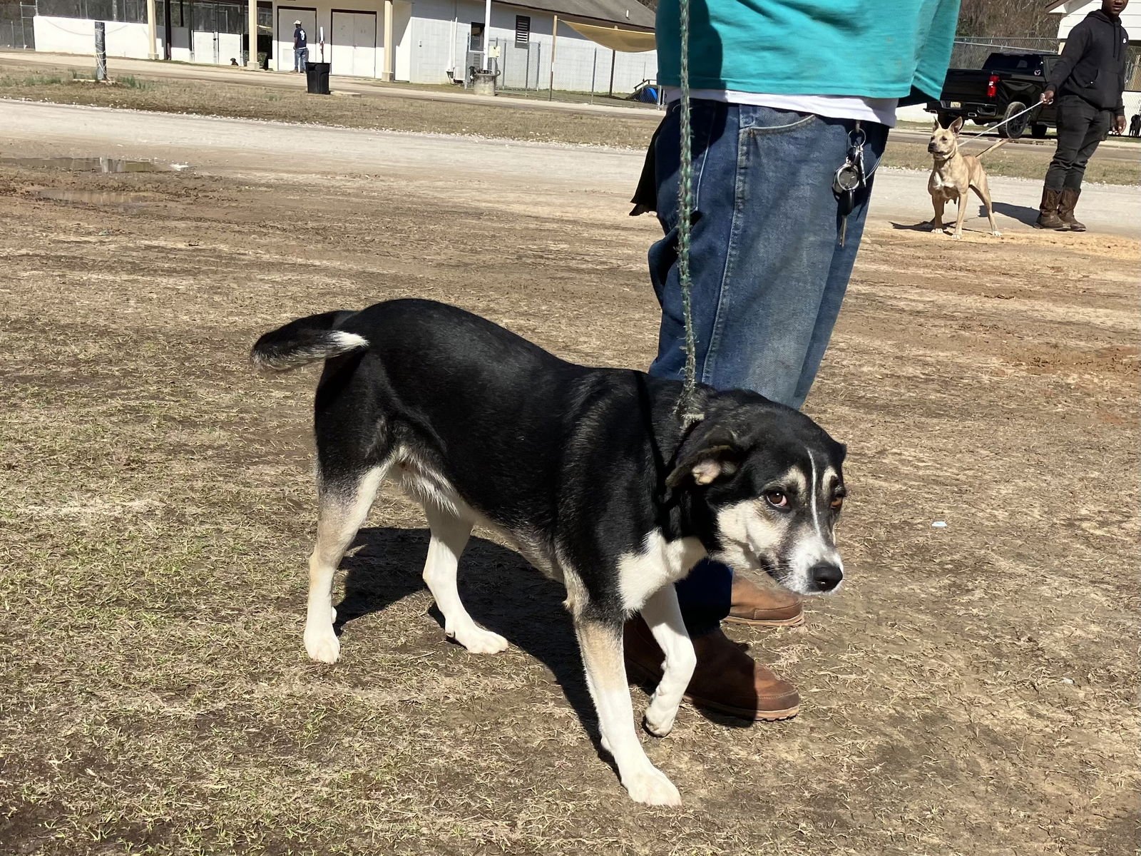 Nova Dixon - Photo 3