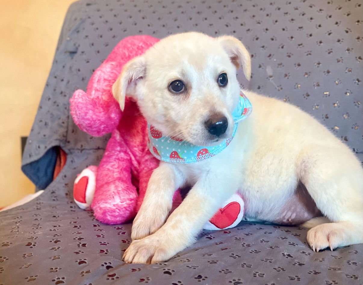 Gabby Lonestar - Photo 3