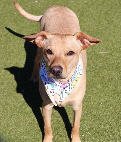 Buddy Athens - Photo 3