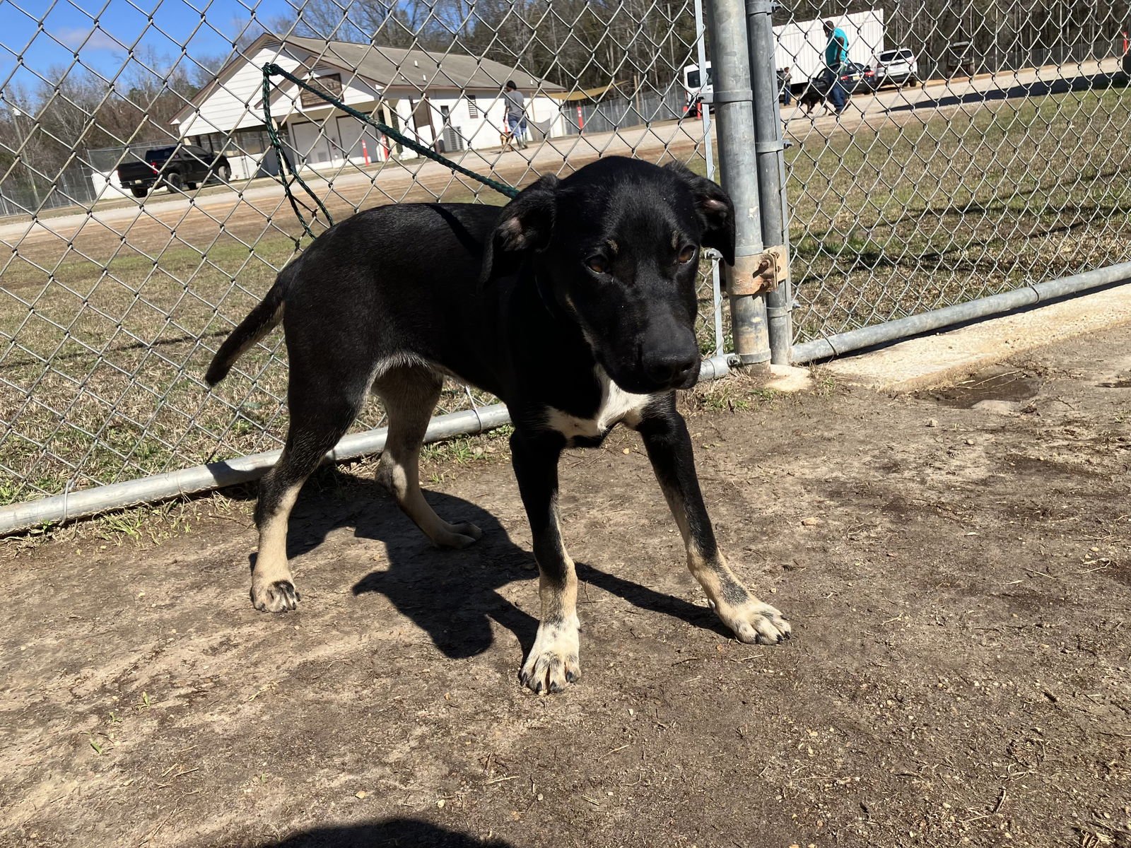 Sincere Dixon - Photo 3