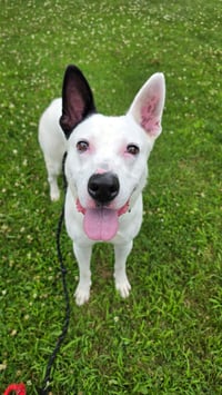 Petey Dixon - Photo 2