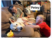 Petey Dixon - Photo 6