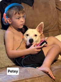 Petey Dixon - Photo 5