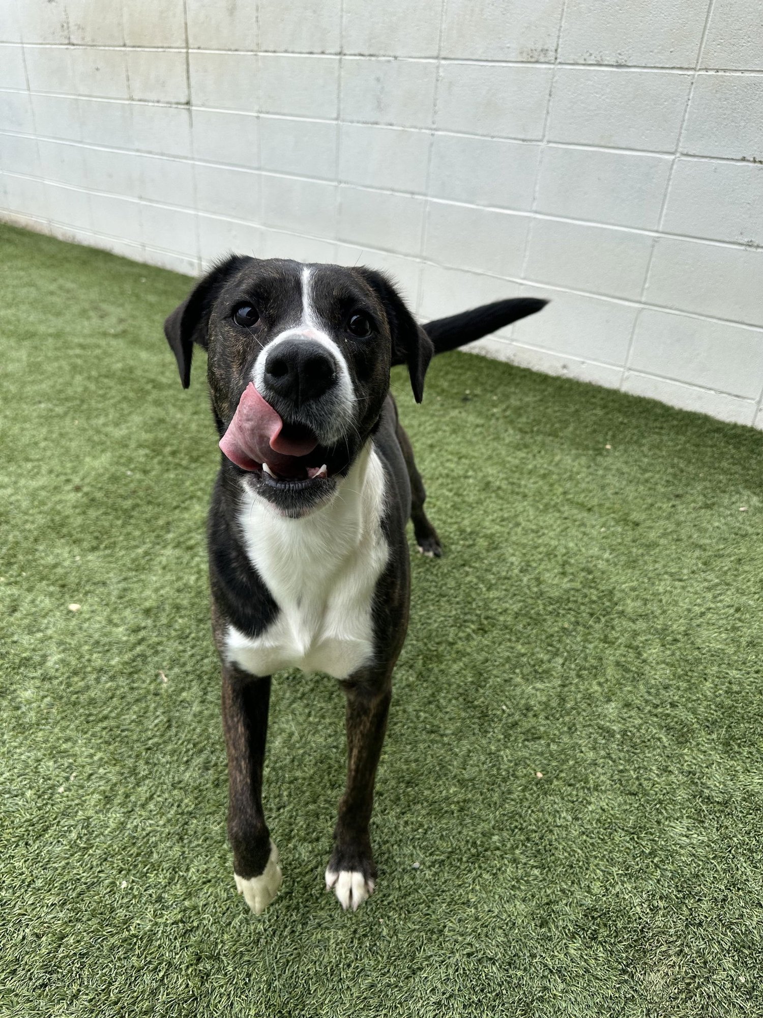 Lowery Dixon - Photo 3