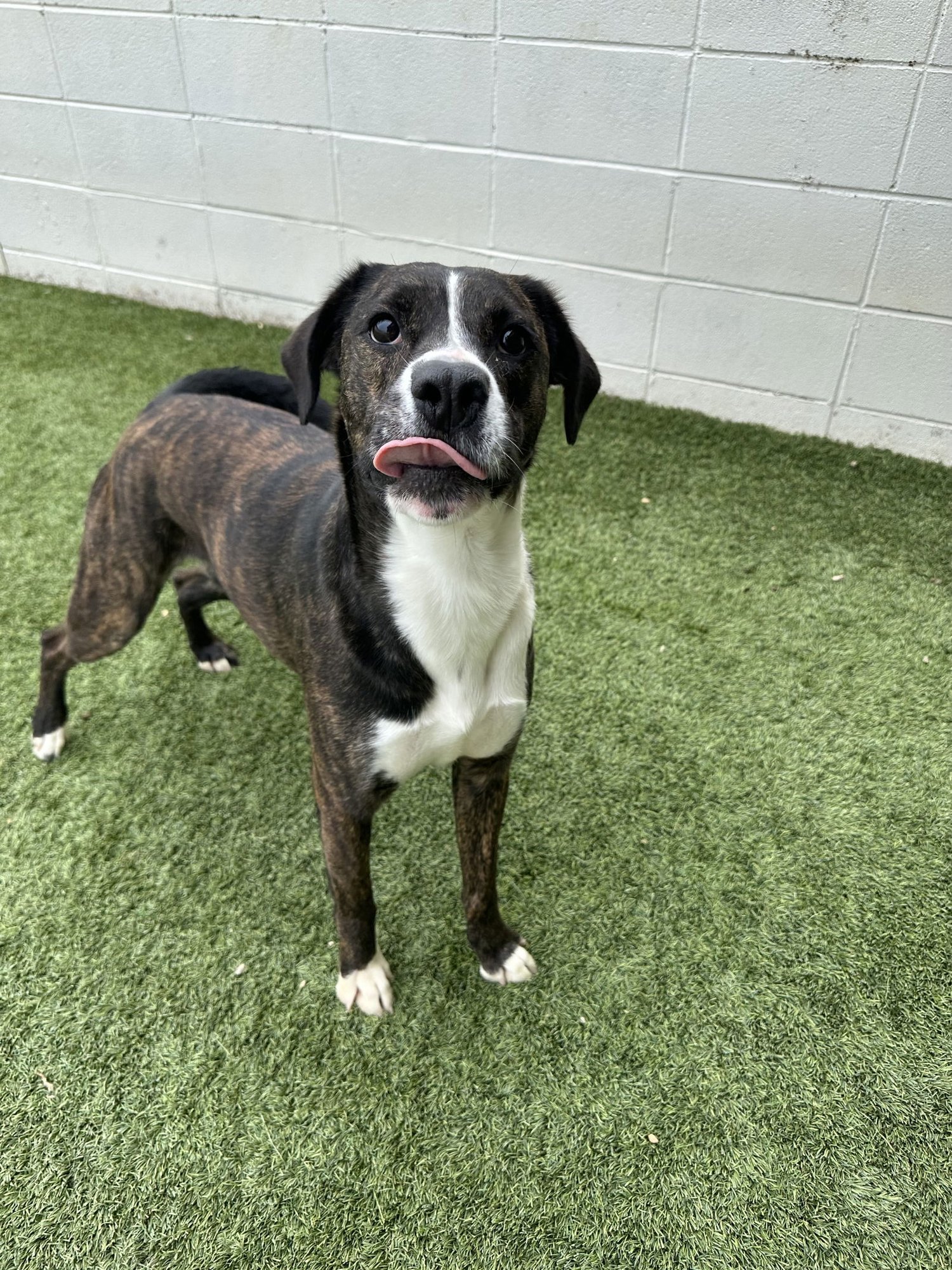 Lowery Dixon - Photo 4