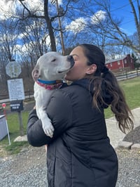 Olive Mini Pittie - Photo 10