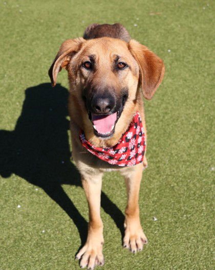 Modelo Athens - Photo 3