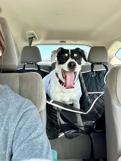 Bunny Athens - Photo 3