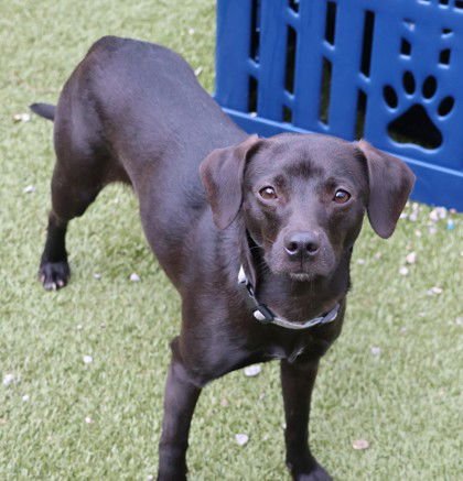 Baby Athens - Photo 4