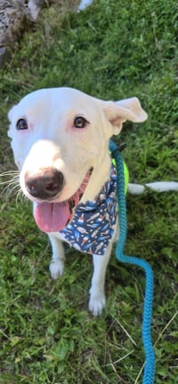 Nellie Lonestar - Photo 5
