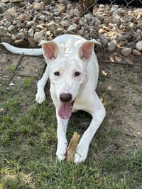 Nellie Lonestar - Photo 8