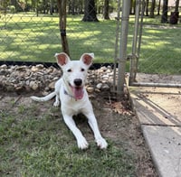 Nellie Lonestar - Photo 9