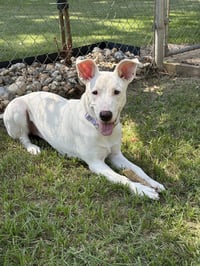 Nellie Lonestar - Photo 6