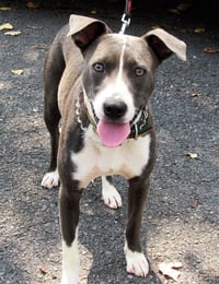 Blue Steele - Photo 10