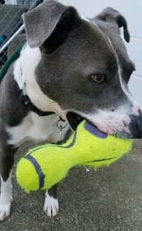 Blue Steele - Photo 6