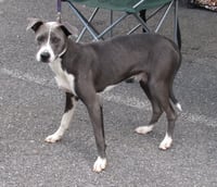 Blue Steele - Photo 12
