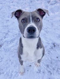 Blue Steele - Photo 7
