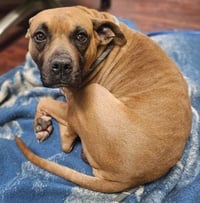 Bruce SCAS - Photo 1