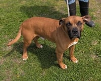 Bruce SCAS - Photo 4