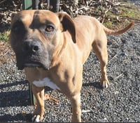 Bruce SCAS - Photo 5