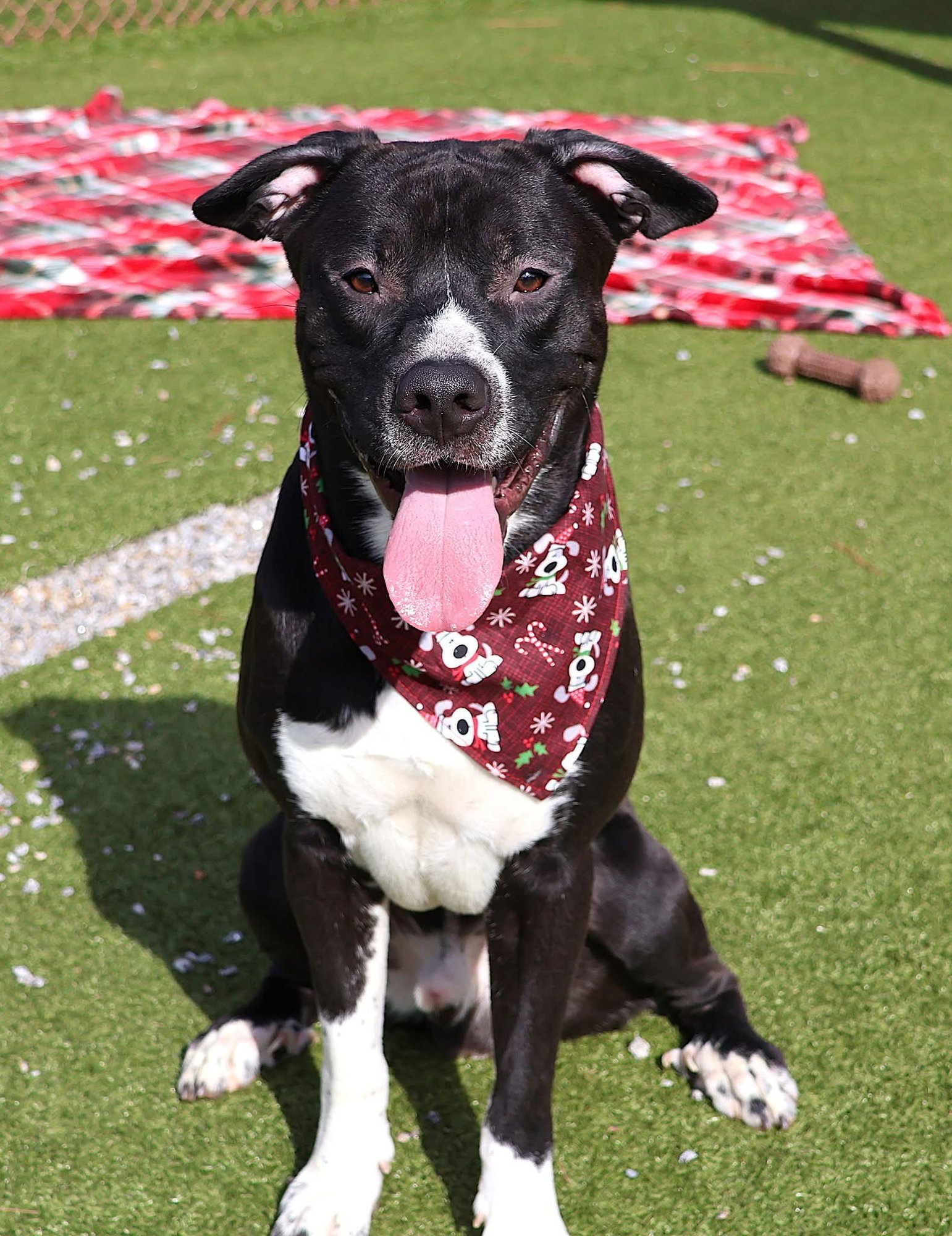 Casper Athens - Photo 3