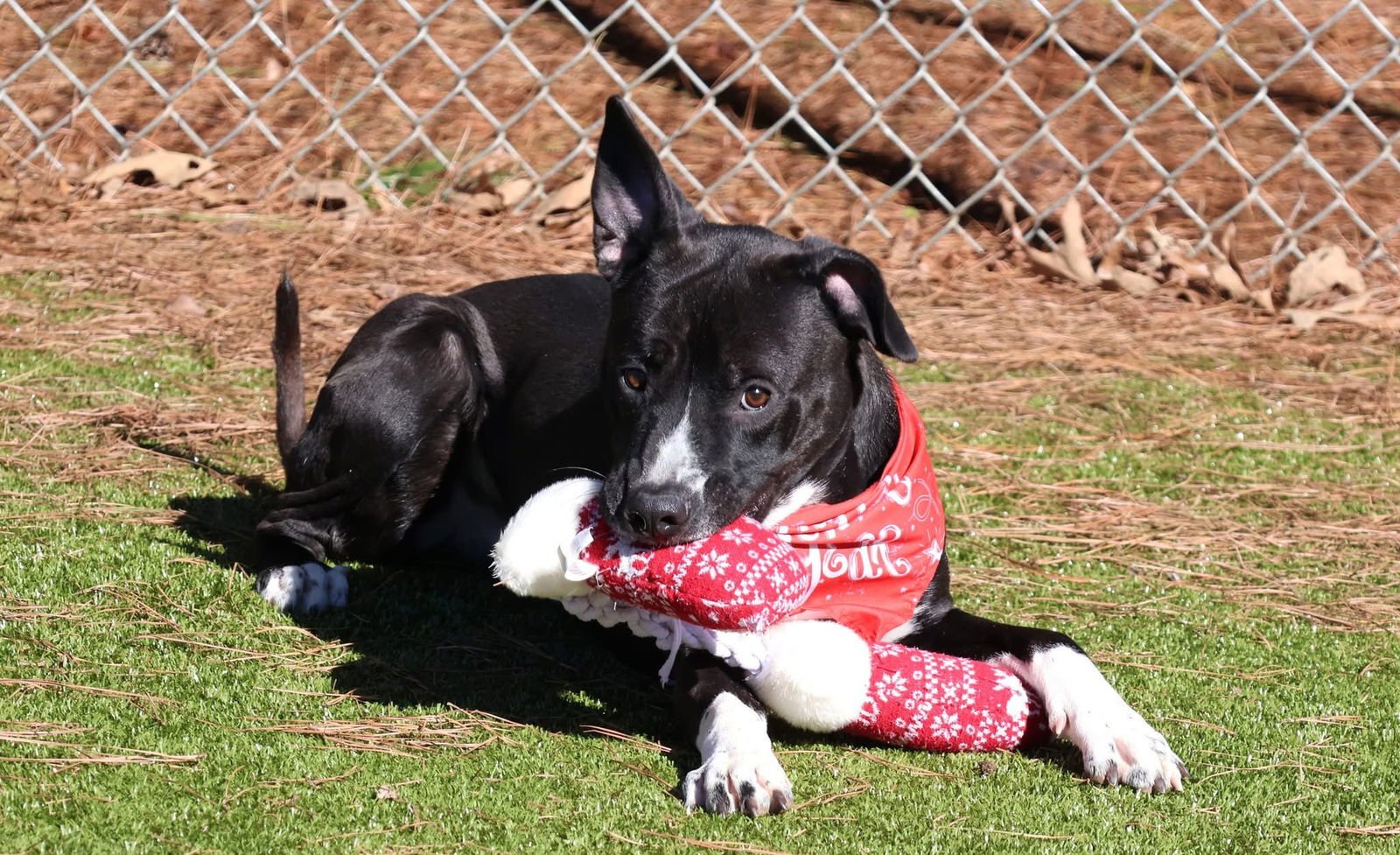 Casper Athens - Photo 4