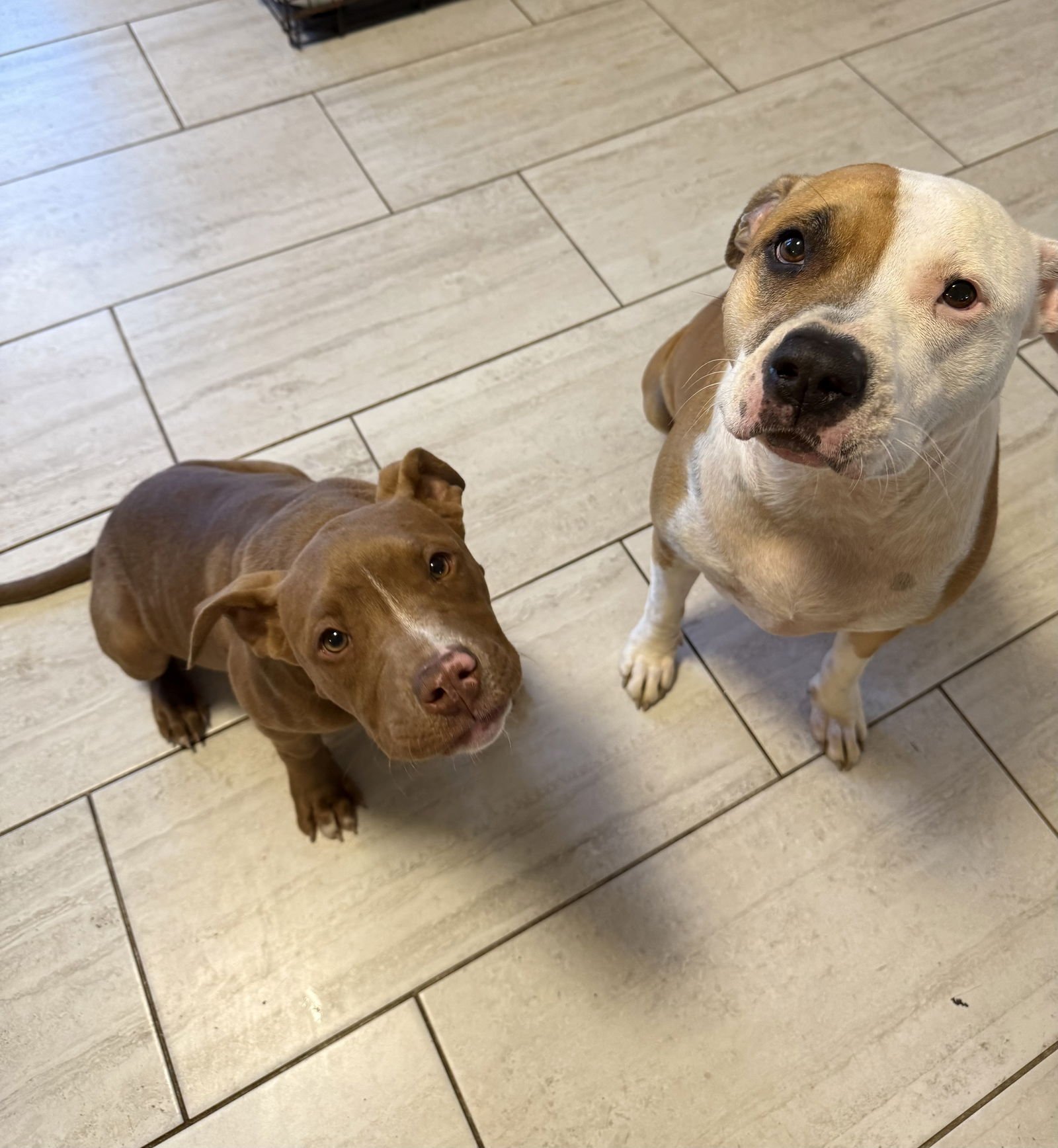 Rucker Dixon - Photo 3