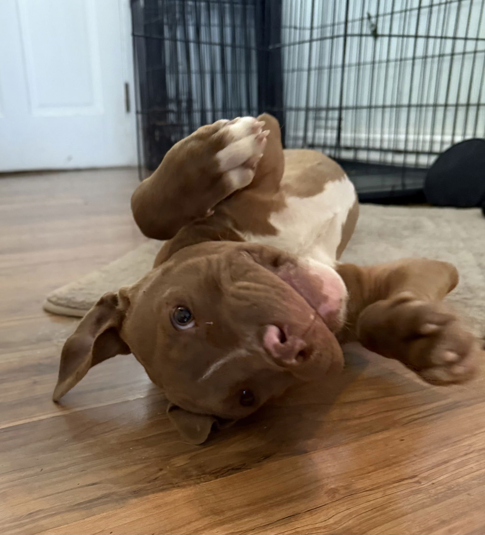 Rucker Dixon - Photo 4