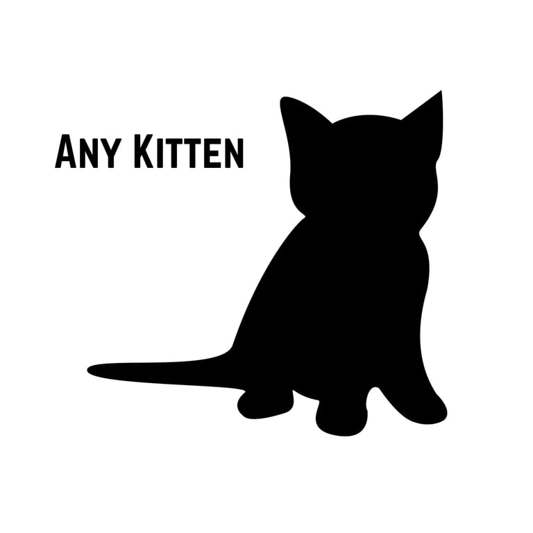**A Kitten 7 Months and Under Image