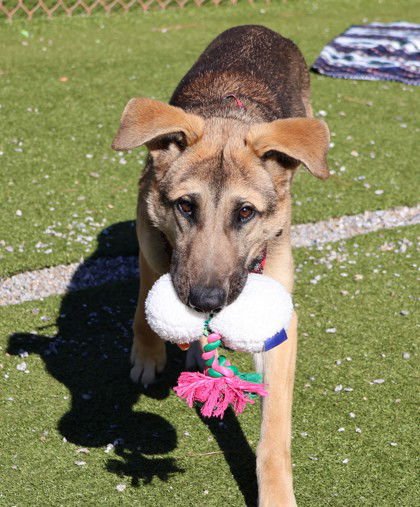 Pabst Athens - Photo 3