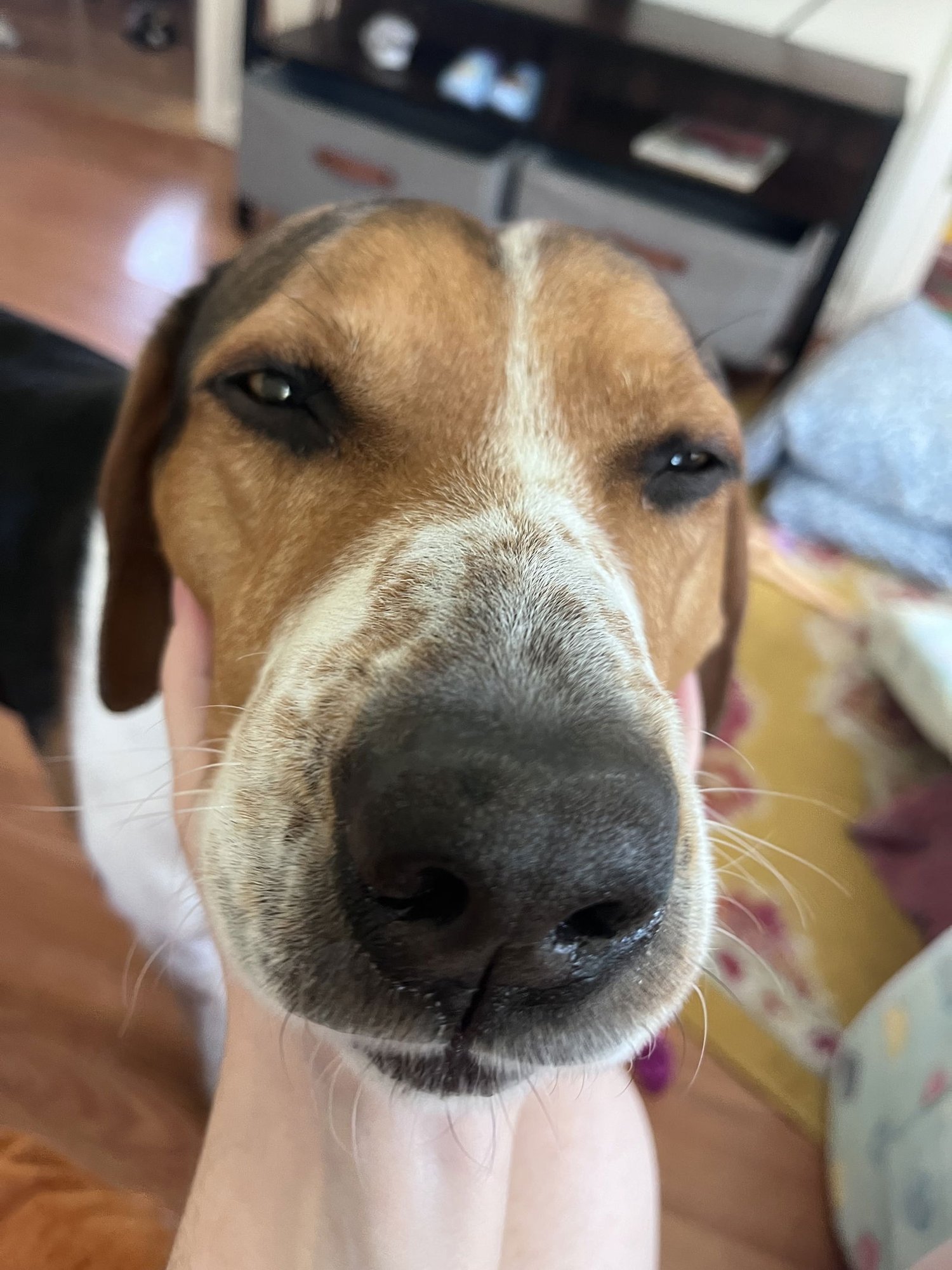 Rocky Granville - Photo 3