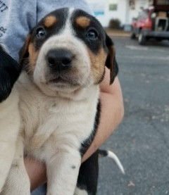 Rocky Granville - Photo 4