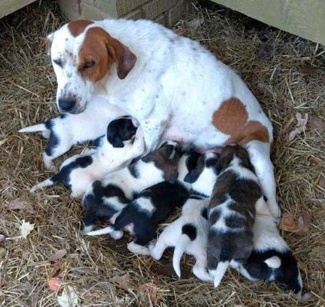 Rocky Granville - Photo 5