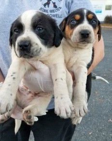 Rocky Granville - Photo 6