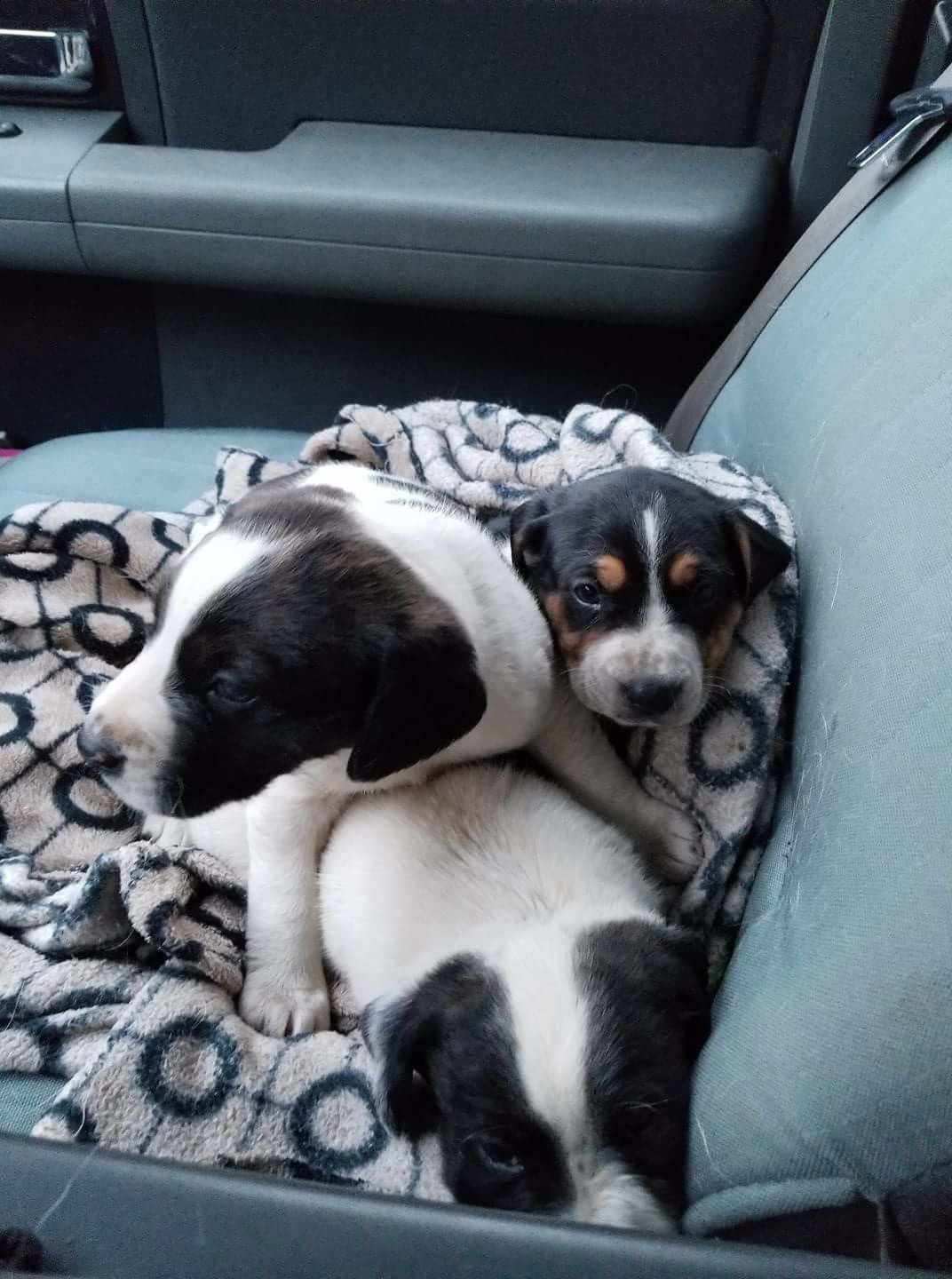 Rocky Granville - Photo 7