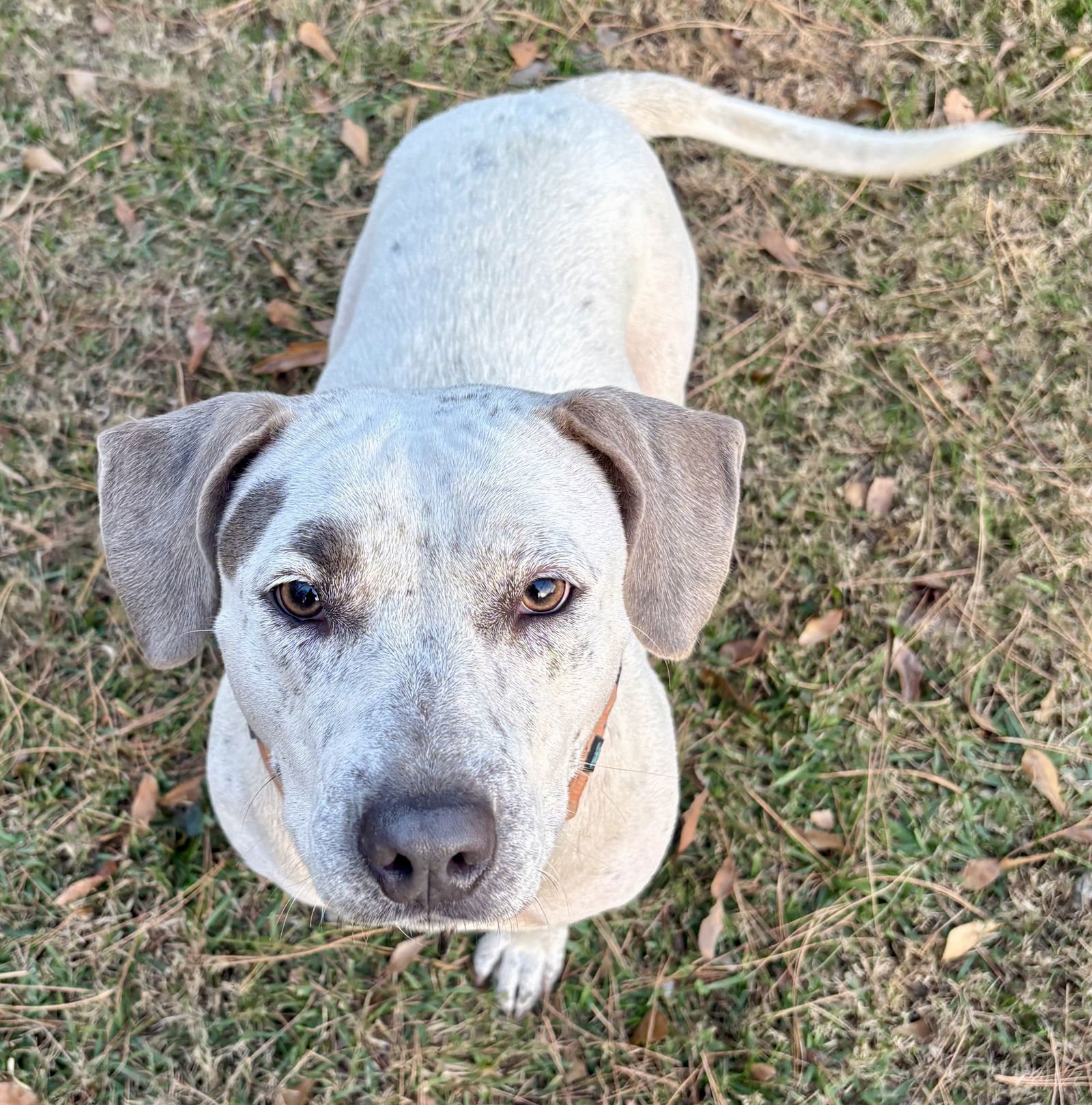 Holly Lonestar - Photo 3