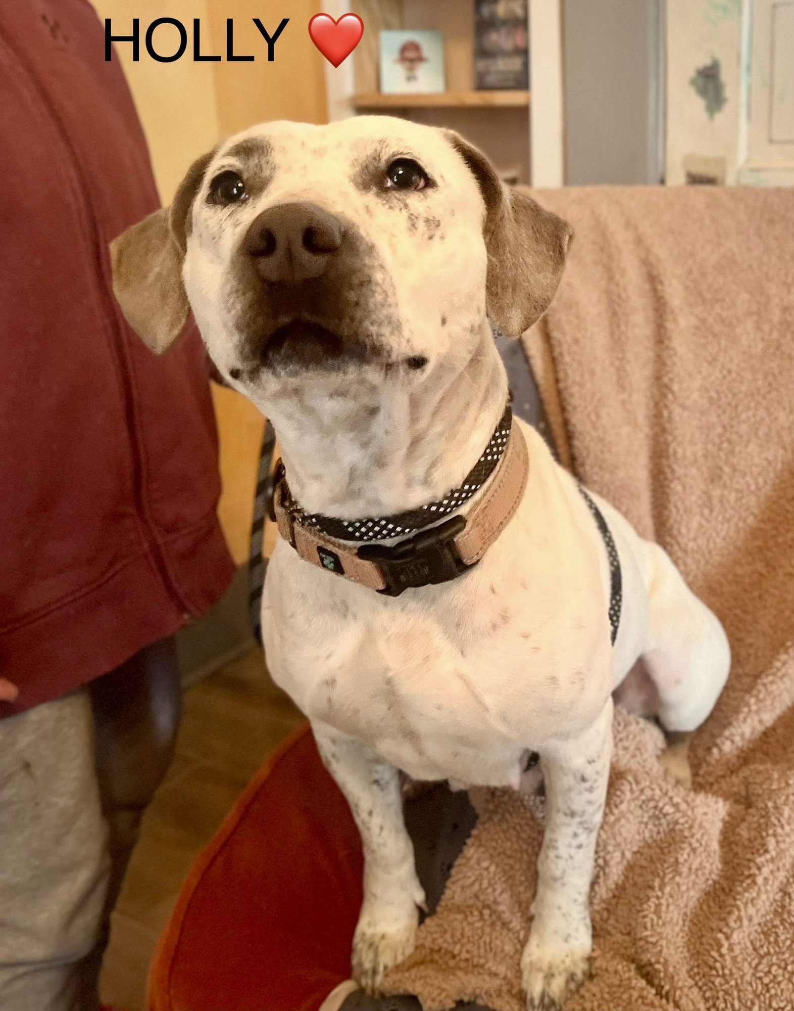 Holly Lonestar - Photo 7