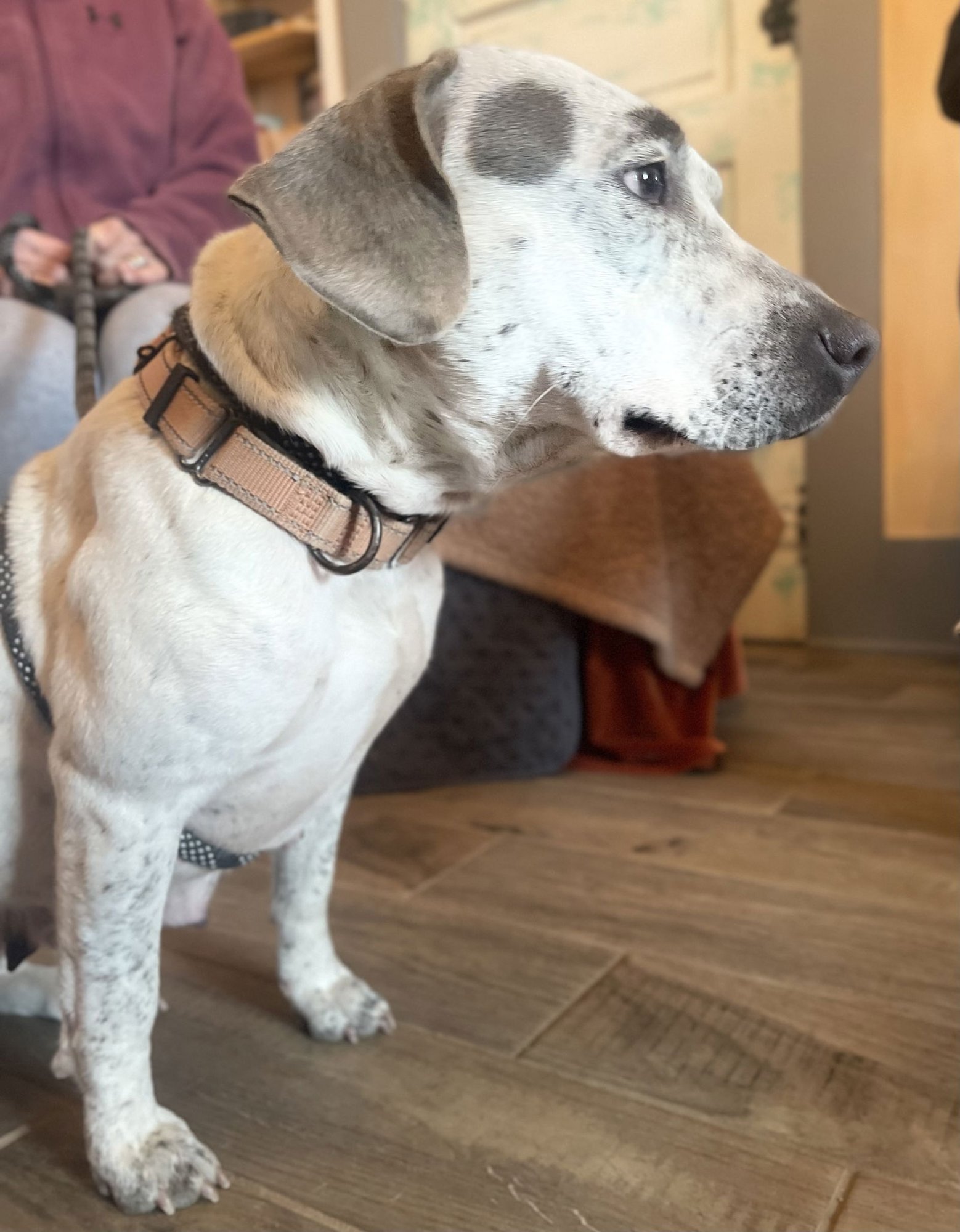 Holly Lonestar - Photo 8