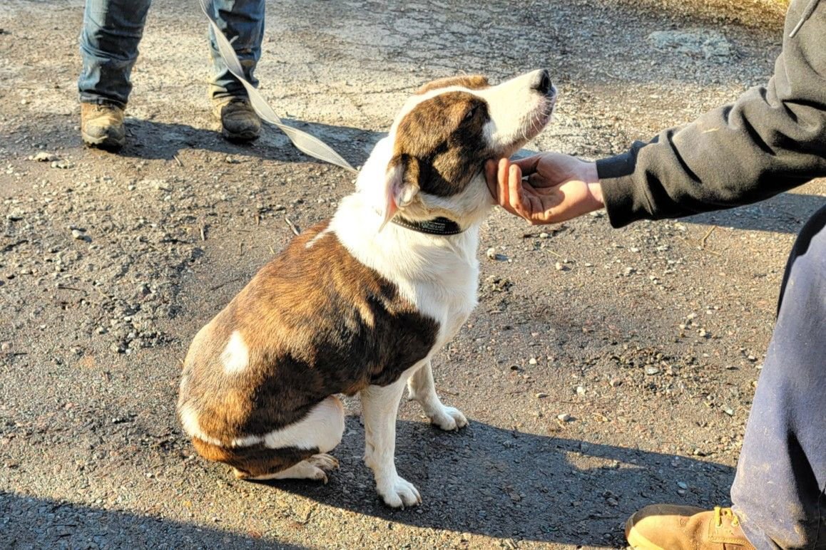 Baxter RDS - Photo 3