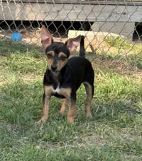 Bridgette Lonestar - Photo 3