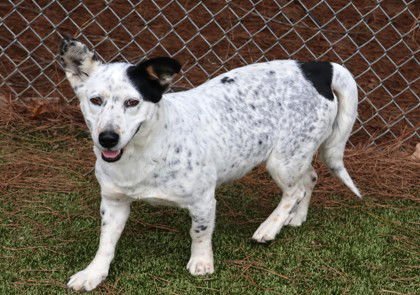 Tahini Athens - Photo 3