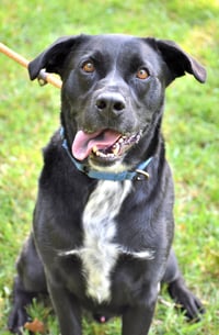 Lucky Havard - Photo 7