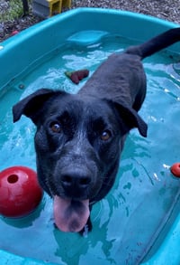 Lucky Havard - Photo 9