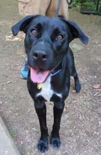 Lucky Havard - Photo 12