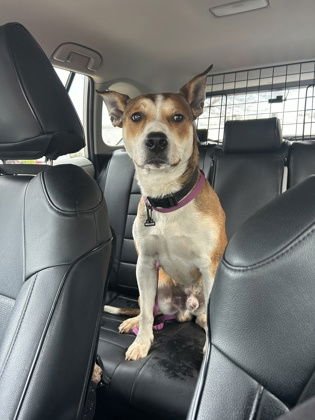 Pointy Athens - Photo 3