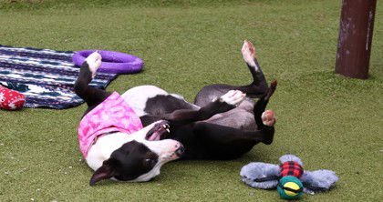 Tilly Athens - Photo 3