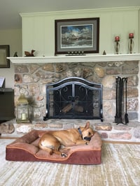 Jack Dixon - Photo 4