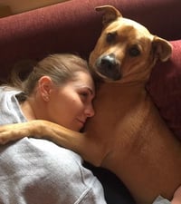 Shelby (SADIE) - Photo 5